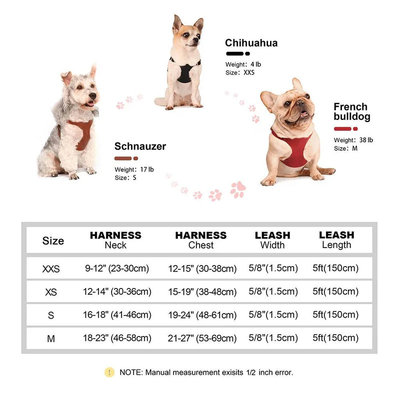 https://cdn.shopify.com/s/files/1/0647/9170/7830/files/harnais-en-cuir-pour-petit-chien-5436676.webp?v=1777924034