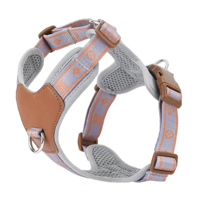 https://cdn.shopify.com/s/files/1/0647/9170/7830/files/harnais-en-forme-de-y-3582359.webp?v=1777924094