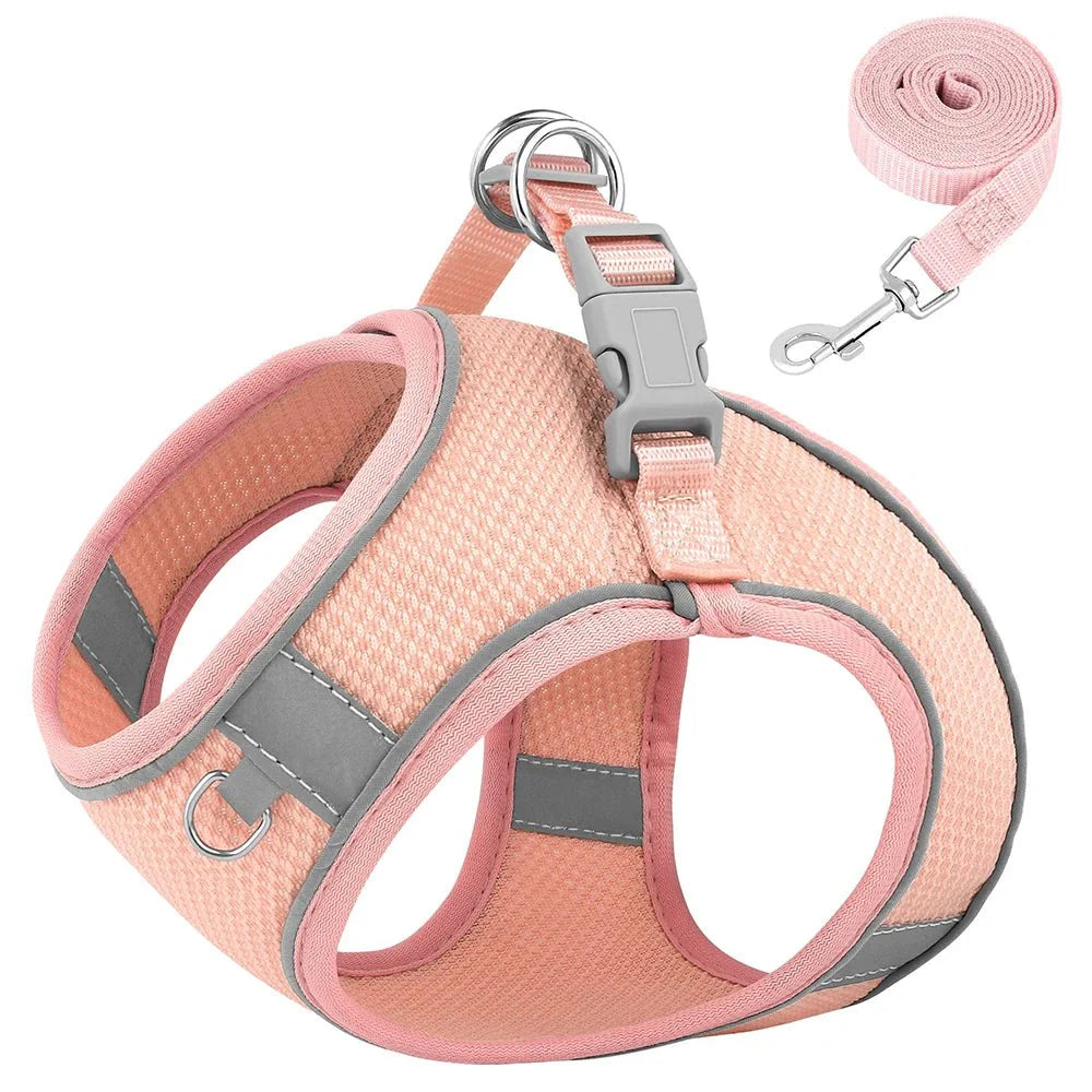 https://cdn.shopify.com/s/files/1/0647/9170/7830/files/harnais-en-nylon-pour-chihuahua-4300827.webp?v=1777924754