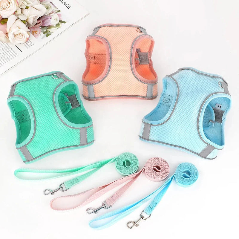 https://cdn.shopify.com/s/files/1/0647/9170/7830/files/harnais-en-nylon-pour-chihuahua-4300827.webp?v=1777924754