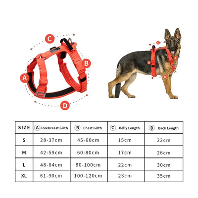 https://cdn.shopify.com/s/files/1/0647/9170/7830/files/harnais-en-y-chien-gros-ventre-1263878.webp?v=1777923852