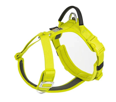 https://cdn.shopify.com/s/files/1/0647/9170/7830/files/harnais-en-y-chien-gros-ventre-4237623.webp?v=1777923853