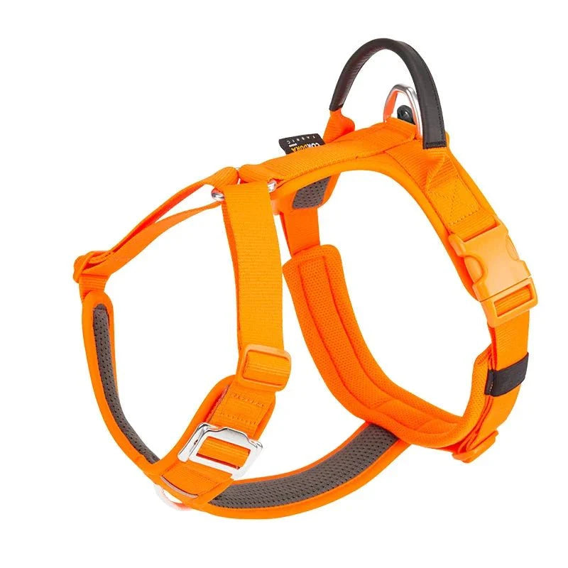 https://cdn.shopify.com/s/files/1/0647/9170/7830/files/harnais-en-y-chien-gros-ventre-5937600.webp?v=1777923852