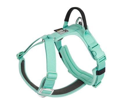https://cdn.shopify.com/s/files/1/0647/9170/7830/files/harnais-en-y-chien-gros-ventre-6834205.webp?v=1777923851