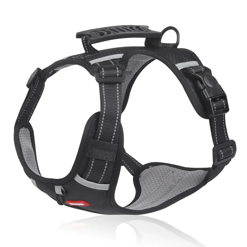 https://cdn.shopify.com/s/files/1/0647/9170/7830/files/harnais-en-y-pour-beagle-6163867.webp?v=1777924027
