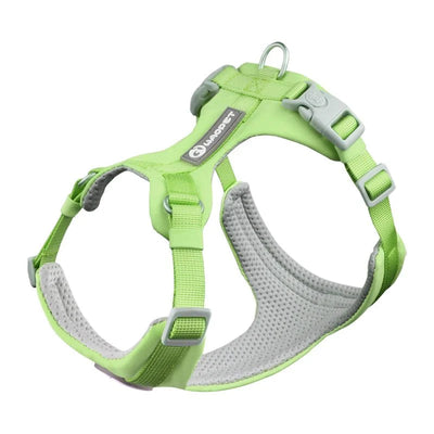 https://cdn.shopify.com/s/files/1/0647/9170/7830/files/harnais-en-y-pour-bouledogue-francais-6171462.webp?v=1777923675