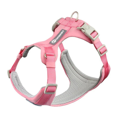 https://cdn.shopify.com/s/files/1/0647/9170/7830/files/harnais-en-y-pour-bouledogue-francais-7783298.webp?v=1777923675