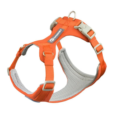 https://cdn.shopify.com/s/files/1/0647/9170/7830/files/harnais-en-y-pour-bouledogue-francais-8588006.webp?v=1777923673