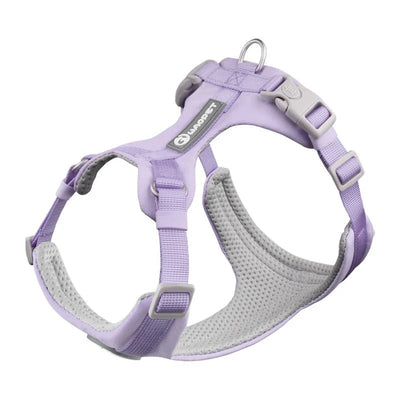 https://cdn.shopify.com/s/files/1/0647/9170/7830/files/harnais-en-y-pour-bouledogue-francais-9456069.webp?v=1777923674