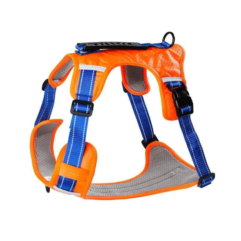 https://cdn.shopify.com/s/files/1/0647/9170/7830/files/harnais-en-y-pour-staffie-4170524.webp?v=1777923606