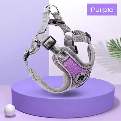 https://cdn.shopify.com/s/files/1/0647/9170/7830/files/harnais-ergonomique-chien-7410547.webp?v=1777923370