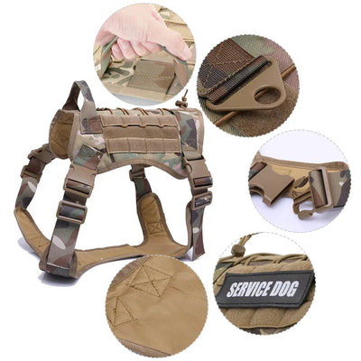 https://cdn.shopify.com/s/files/1/0647/9170/7830/files/harnais-et-accessoires-tactique-complet-1592053.webp?v=1777924691
