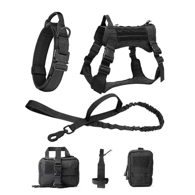 https://cdn.shopify.com/s/files/1/0647/9170/7830/files/harnais-et-accessoires-tactique-complet-3561184.webp?v=1777924692