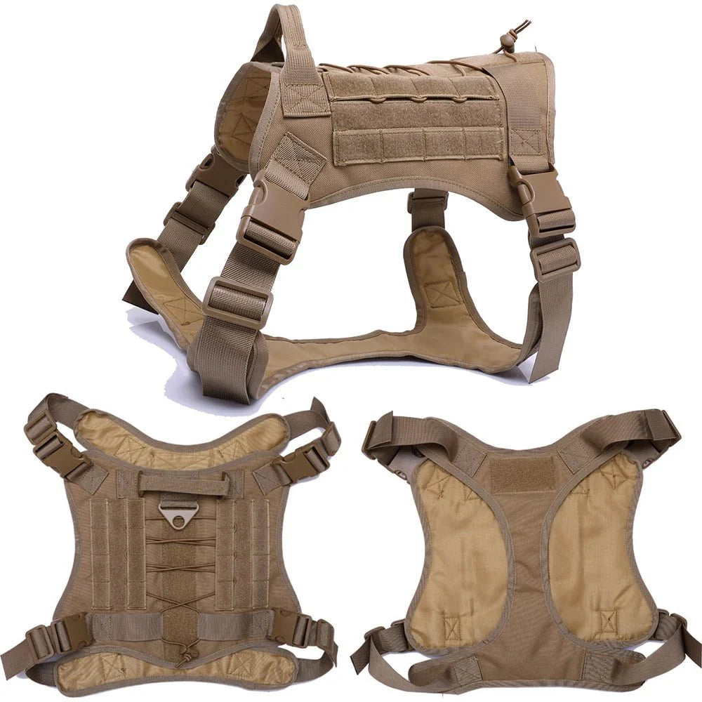 https://cdn.shopify.com/s/files/1/0647/9170/7830/files/harnais-et-accessoires-tactique-complet-5359865.webp?v=1777924692