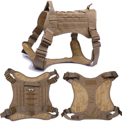 https://cdn.shopify.com/s/files/1/0647/9170/7830/files/harnais-et-accessoires-tactique-complet-5359865.webp?v=1777924692