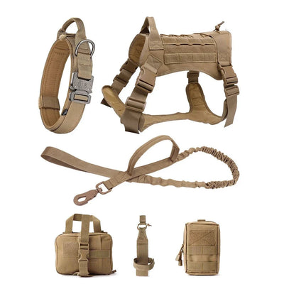 https://cdn.shopify.com/s/files/1/0647/9170/7830/files/harnais-et-accessoires-tactique-complet-6319609.webp?v=1777924692