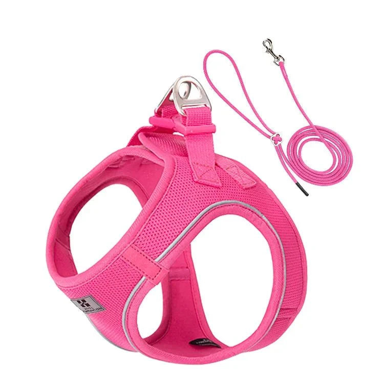 https://cdn.shopify.com/s/files/1/0647/9170/7830/files/harnais-et-laisse-pour-chiot-2386231.webp?v=1777924388