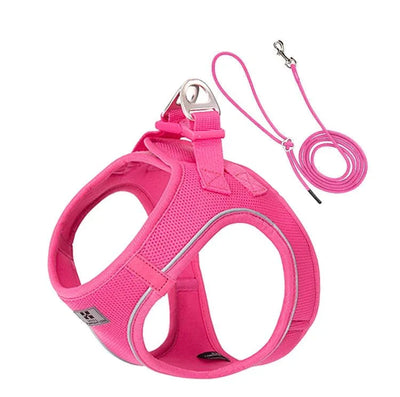 https://cdn.shopify.com/s/files/1/0647/9170/7830/files/harnais-et-laisse-pour-chiot-2386231.webp?v=1777924388