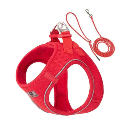 https://cdn.shopify.com/s/files/1/0647/9170/7830/files/harnais-et-laisse-pour-chiot-3247181.webp?v=1777924033