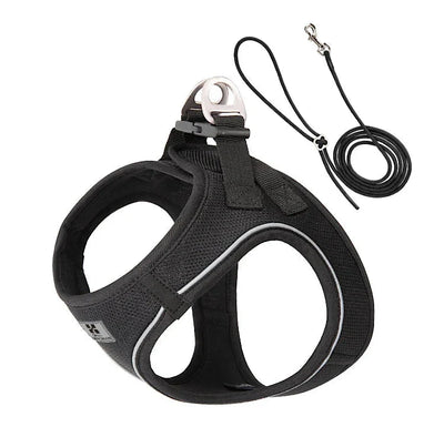 https://cdn.shopify.com/s/files/1/0647/9170/7830/files/harnais-et-laisse-pour-chiot-5755481.webp?v=1777924388