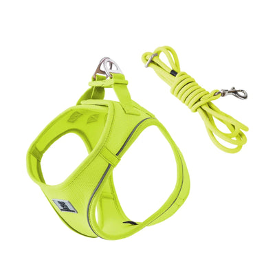 https://cdn.shopify.com/s/files/1/0647/9170/7830/files/harnais-et-laisse-pour-chiot-6621570.webp?v=1777924033