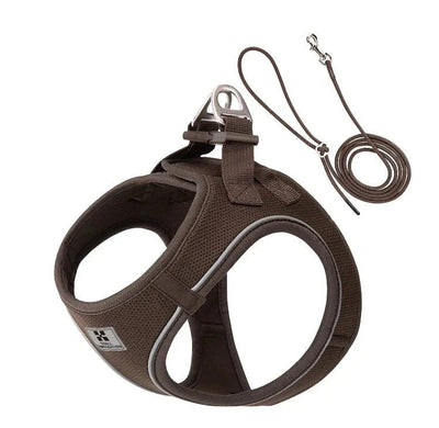 https://cdn.shopify.com/s/files/1/0647/9170/7830/files/harnais-et-laisse-pour-chiot-9436849.webp?v=1777924032