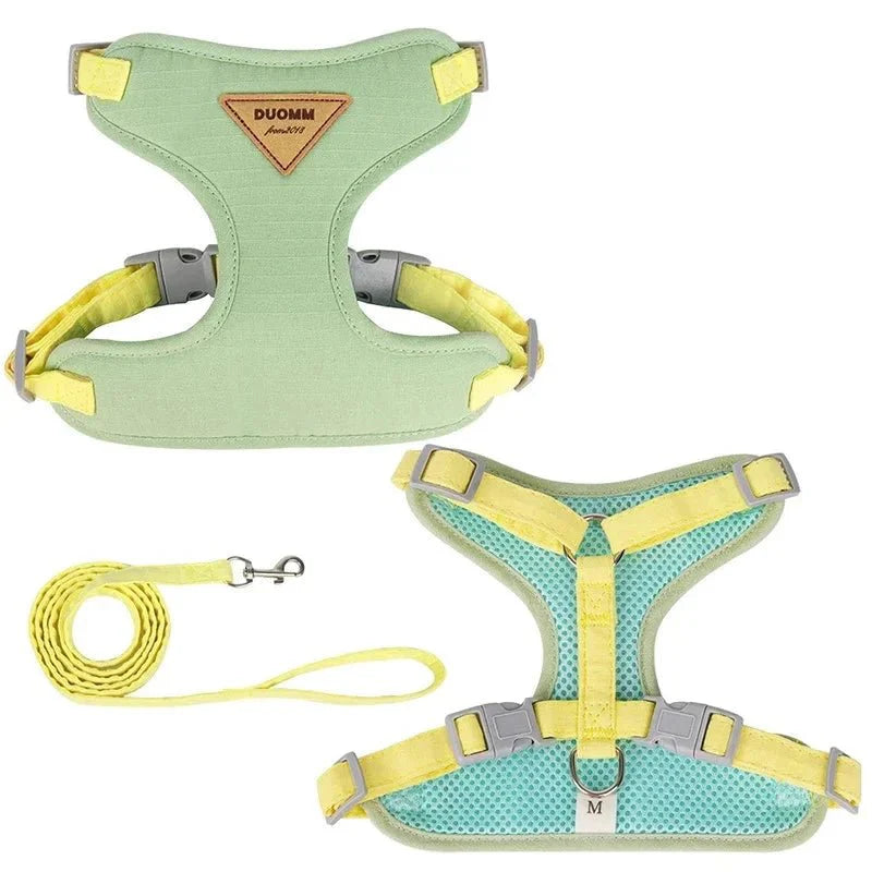 https://cdn.shopify.com/s/files/1/0647/9170/7830/files/harnais-et-laisse-pour-petit-chien-9308964.webp?v=1777925050