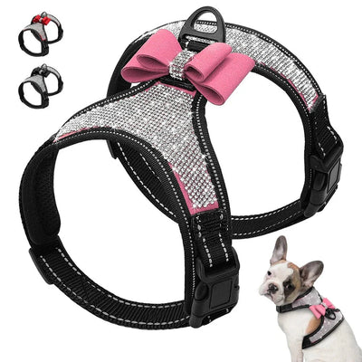 https://cdn.shopify.com/s/files/1/0647/9170/7830/files/harnais-fantaisie-pour-petit-chien-6251247.webp?v=1777925112