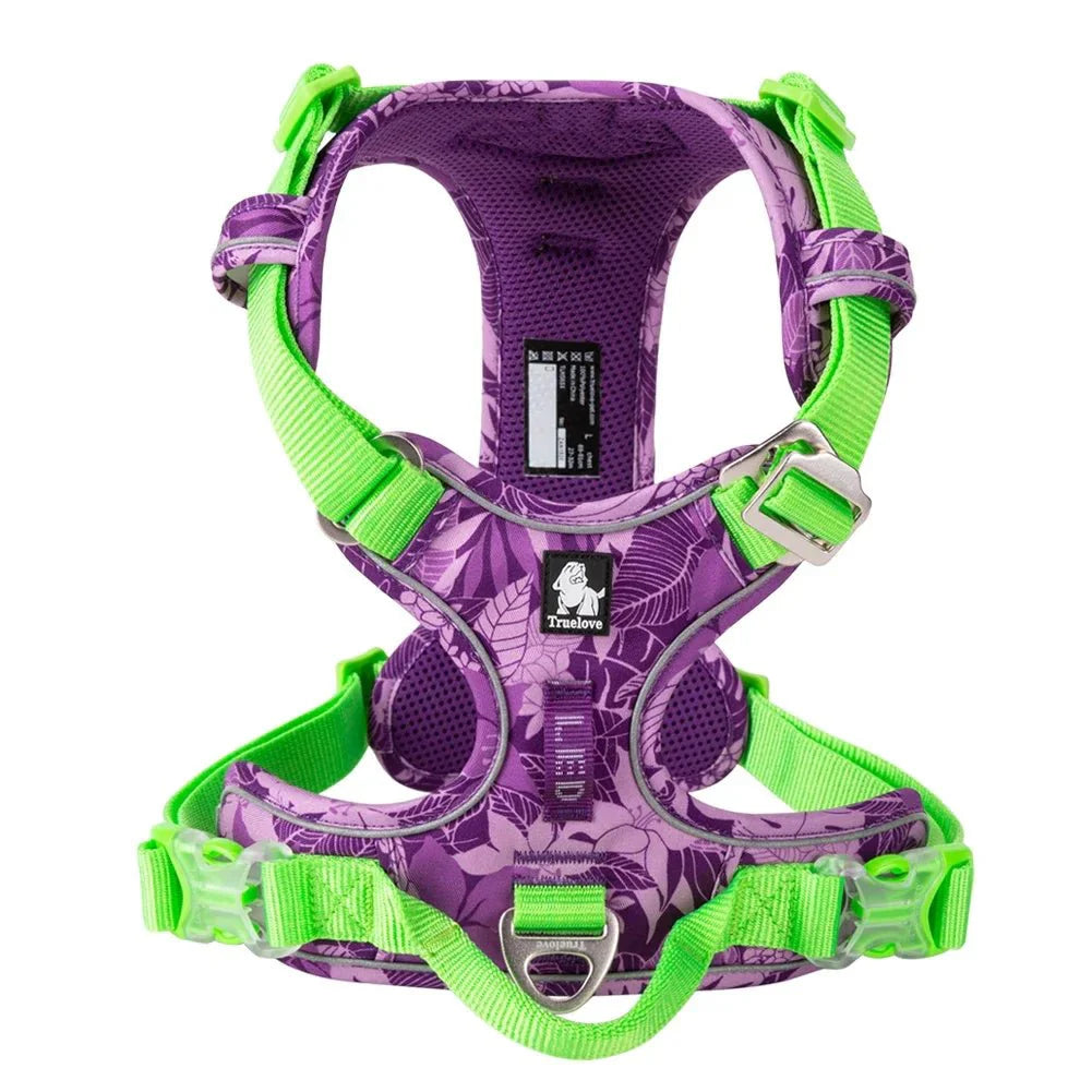 https://cdn.shopify.com/s/files/1/0647/9170/7830/files/harnais-fantaisie-pour-petit-chien-violet-9312168.webp?v=1777923130