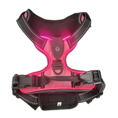 https://cdn.shopify.com/s/files/1/0647/9170/7830/files/harnais-fluorescent-pour-gros-chien-6053022.webp?v=1777924032