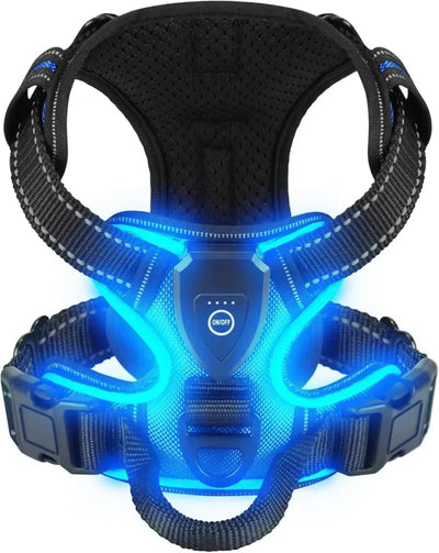 https://cdn.shopify.com/s/files/1/0647/9170/7830/files/harnais-fluorescent-pour-gros-chien-7826334.webp?v=1777924032