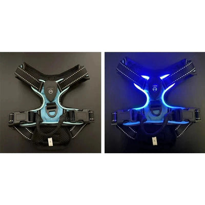 https://cdn.shopify.com/s/files/1/0647/9170/7830/files/harnais-fluorescent-pour-gros-chien-7858997.webp?v=1777924032