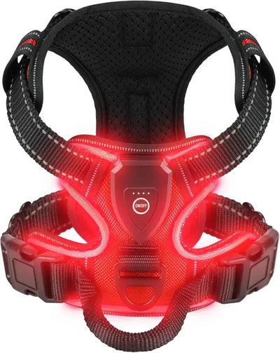 https://cdn.shopify.com/s/files/1/0647/9170/7830/files/harnais-fluorescent-pour-gros-chien-8311305.webp?v=1777924032