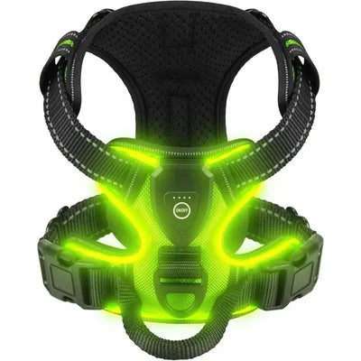 https://cdn.shopify.com/s/files/1/0647/9170/7830/files/harnais-fluorescent-pour-gros-chien-9861192.webp?v=1777924031