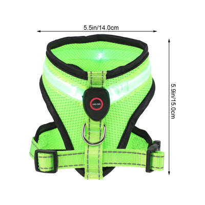 https://cdn.shopify.com/s/files/1/0647/9170/7830/files/harnais-fluorescent-pour-petit-chien-1135853.webp?v=1777924152