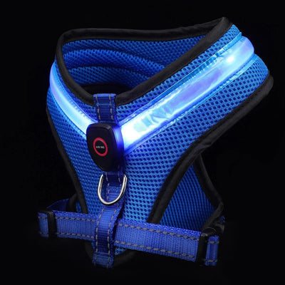 https://cdn.shopify.com/s/files/1/0647/9170/7830/files/harnais-fluorescent-pour-petit-chien-5881489.webp?v=1777924152