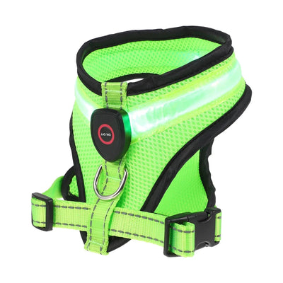 https://cdn.shopify.com/s/files/1/0647/9170/7830/files/harnais-fluorescent-pour-petit-chien-7795033.webp?v=1777924152