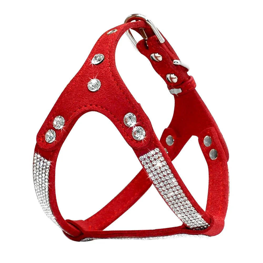 Harnais Strass Set Avec Laisse Petit Chien
