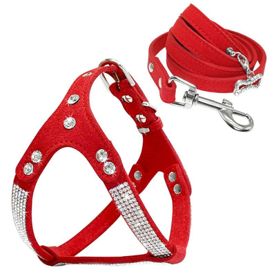 https://cdn.shopify.com/s/files/1/0647/9170/7830/files/harnais-girly-pour-chihuahua-4317339.webp?v=1777924694