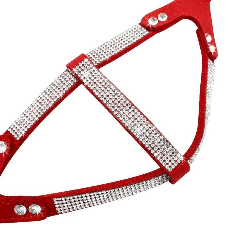 Harnais Strass Set Avec Laisse Petit Chien