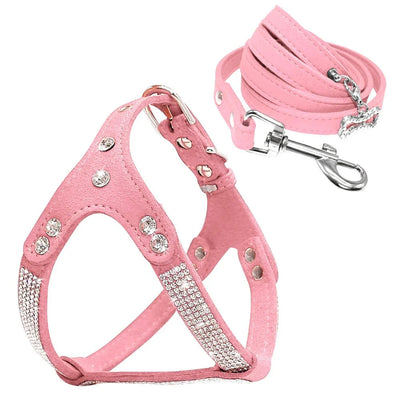 https://cdn.shopify.com/s/files/1/0647/9170/7830/files/harnais-girly-pour-chihuahua-9355545.webp?v=1777924694