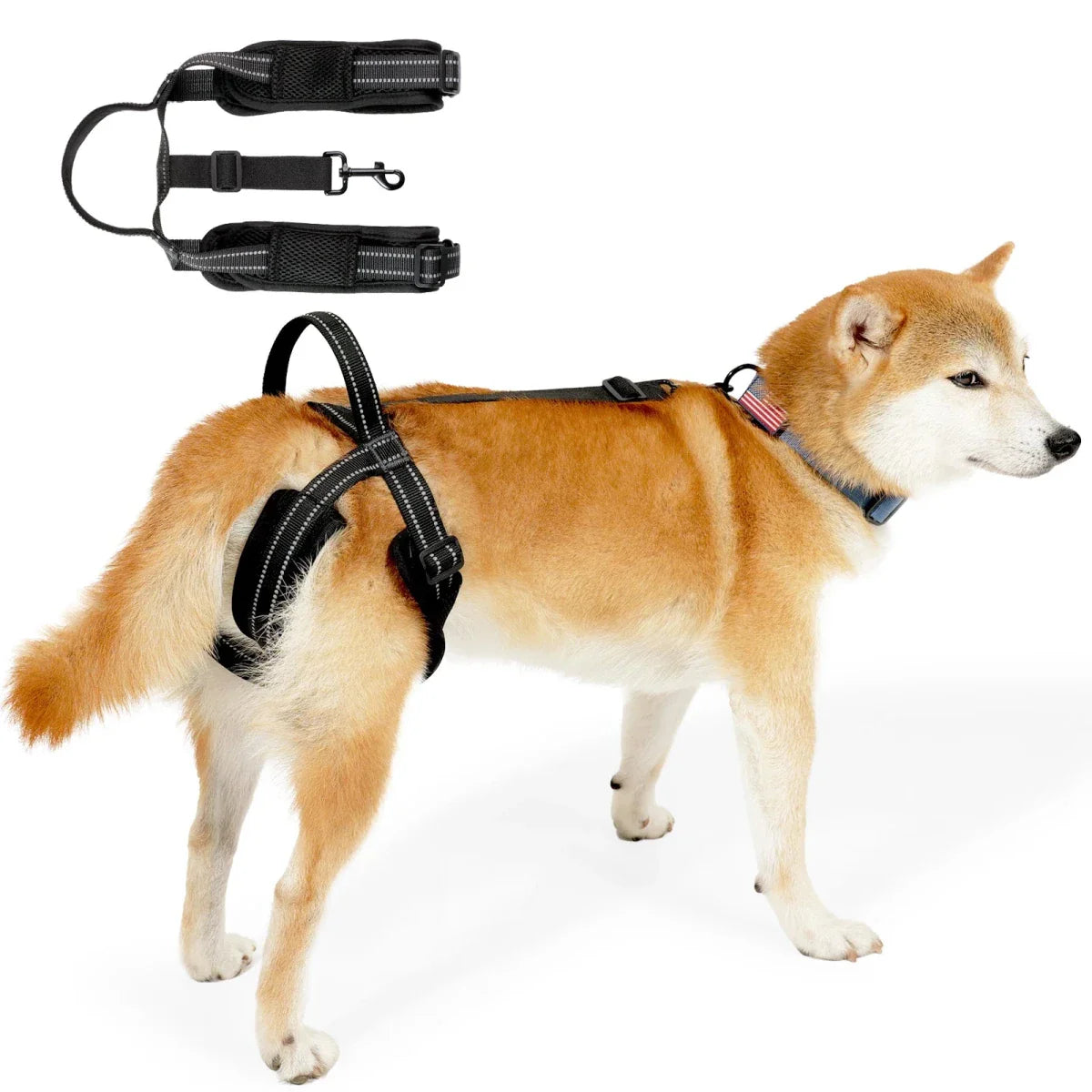 https://cdn.shopify.com/s/files/1/0647/9170/7830/files/harnais-gros-chien-avec-poignee-train-arriere-5749643.webp?v=1777923849