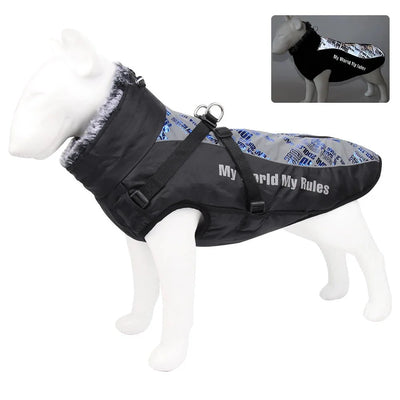 https://cdn.shopify.com/s/files/1/0647/9170/7830/files/harnais-gros-chien-hiver-1698952.webp?v=1777924034