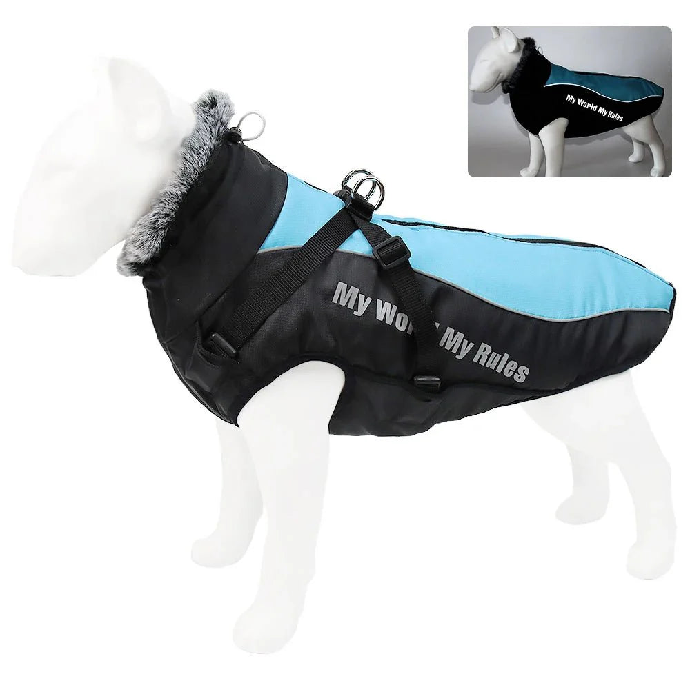 https://cdn.shopify.com/s/files/1/0647/9170/7830/files/harnais-gros-chien-hiver-3798348.webp?v=1777924035