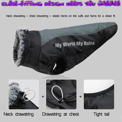 https://cdn.shopify.com/s/files/1/0647/9170/7830/files/harnais-gros-chien-hiver-6748880.webp?v=1777924036