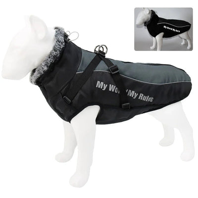 https://cdn.shopify.com/s/files/1/0647/9170/7830/files/harnais-gros-chien-hiver-8273785.webp?v=1777924034