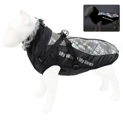 https://cdn.shopify.com/s/files/1/0647/9170/7830/files/harnais-gros-chien-hiver-9075948.webp?v=1777924034