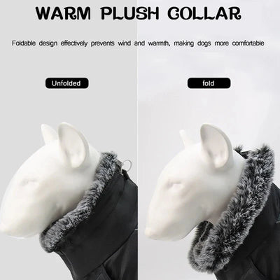 https://cdn.shopify.com/s/files/1/0647/9170/7830/files/harnais-gros-chien-hiver-9601241.webp?v=1777924035
