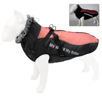 https://cdn.shopify.com/s/files/1/0647/9170/7830/files/harnais-gros-chien-hiver-9734155.webp?v=1777924034