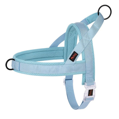 https://cdn.shopify.com/s/files/1/0647/9170/7830/files/harnais-gros-chien-pas-cher-1452322.webp?v=1777923849